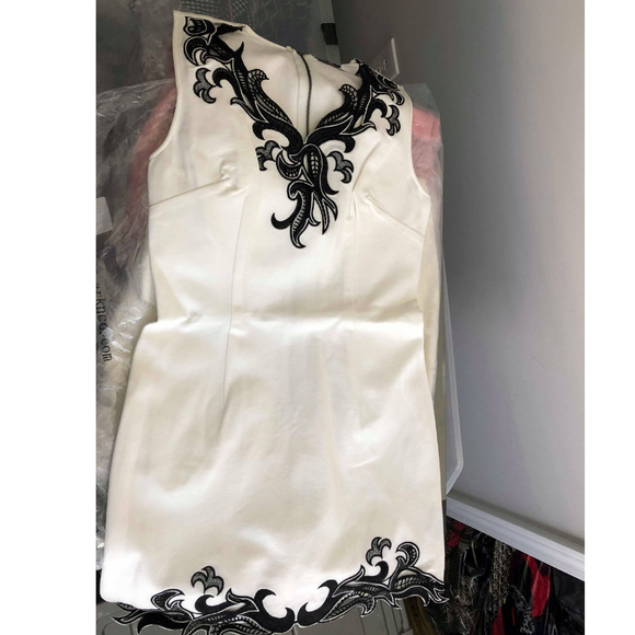 V NECK EMBROIDED DRESS - Picture 7 of 8